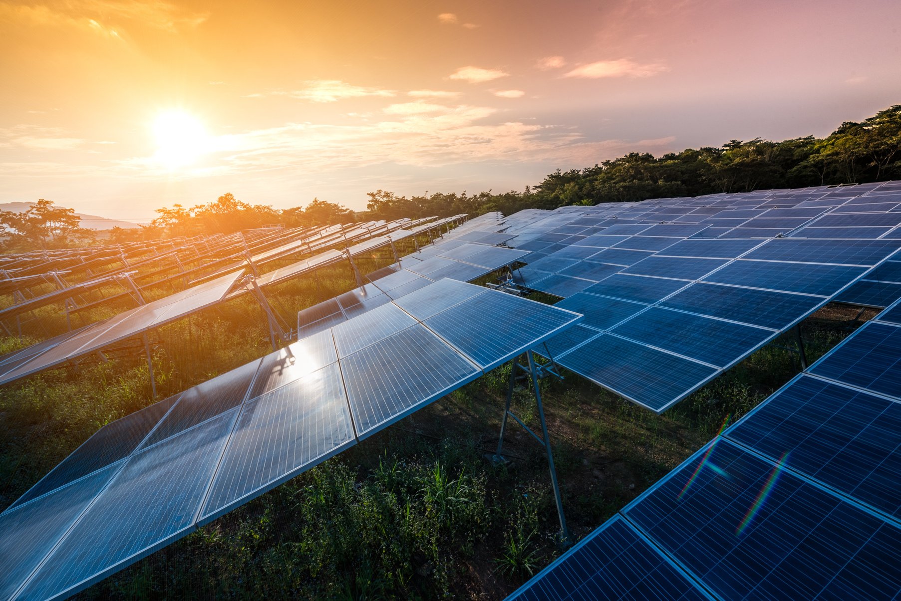 Solar Farm